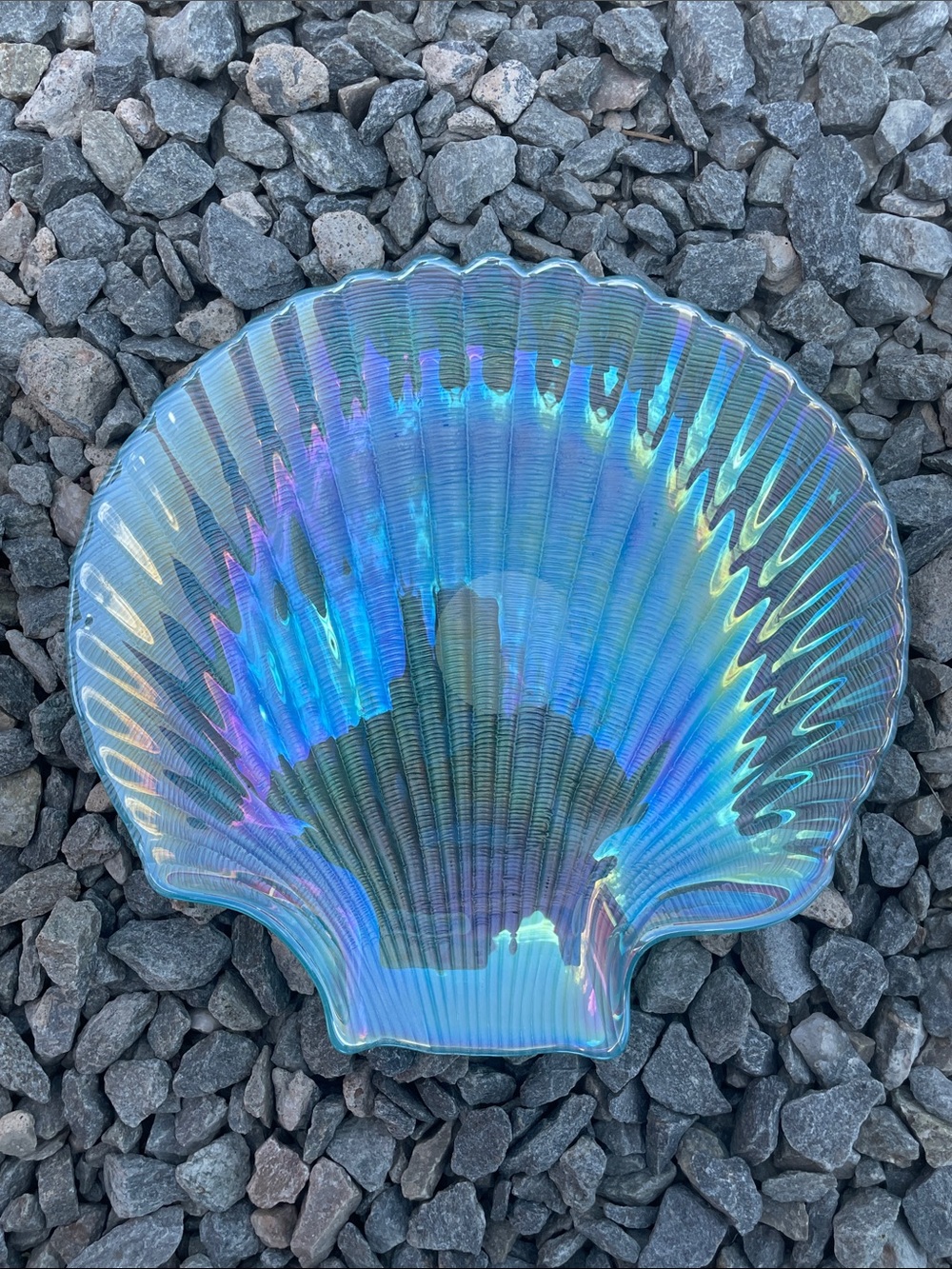 Iridescent Shell Decorative Bowl - Home Art